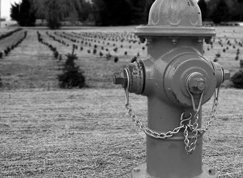 专业高端可靠的DDOS在线压力测试